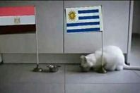 مصر واوروجواي