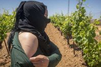 مزارع للاستعباد الجنسي