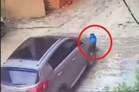 الطفل تحت سيارة أمه