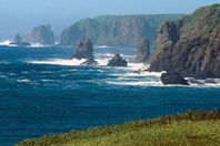 المحيط الهادئ