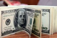 الدولار