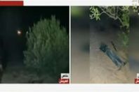 صورة من الفيديو