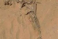 رفات فنان شهير بعد عام من فقدانه