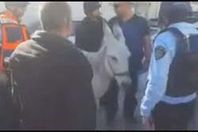 اعتقال حمار
