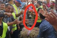 وصفوا بالحمير فقاموا بتكريم الحمار..غضب عمال البلدية بدولة عربية