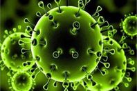 دراسة: تحور فيروس كورونا ليصبح أكثر عدوى