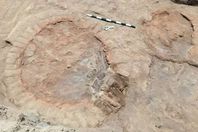 الكشف عن أفران حرق وسور ضخم من العصر الروماني 

