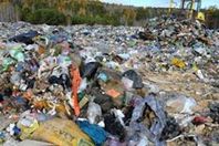 هزت غزة.. يلقون بأمهم حية داخل كيس بمقلب قمامة