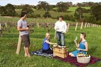 6 سيدات وقاضي.. فضيحة هزت القضاء في هذه الدولة