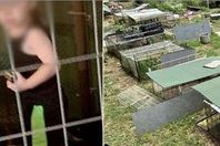 الطفل المحبوس