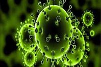 ثانية واحدة ستنقذك من كورونا