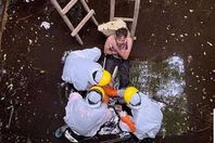 المواطن البريطاني