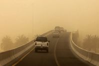 7449562779005137_n(1)