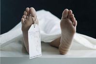 72018312251768437660