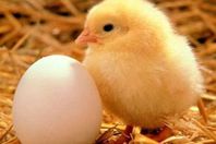 zxdfhdfhfdxhfxdhfghfgh