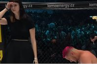 667929a2423604651639271b