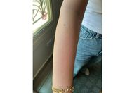 8e911e98-ed56-437e-9_811_012548