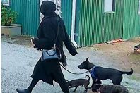 6860cfee4c59b731770a6ec3