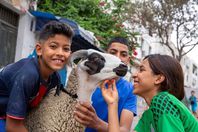 dfae903f809a29d8fc91682ea9bcb0f4