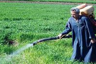 "فلاحين البحيرة": ارتفاع سعر الأسمدة موت بطيء للفلاح