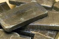 ضبط 29 عاطلا بحوزتهم 6 كيلو حشيش و7 قطع سلاح بالقليوبية