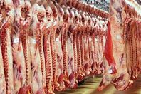 طرح 620 كيلو من اللحوم والدواجن بمغاغة