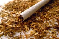 تحقيق الاكتفاء الذاتى من السجائر