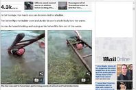 صورة الخبر الاصلي