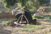 ساقية مشتركة بـحمار