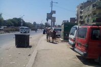 مواطن يؤجر حصانه