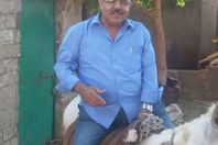 مواطن يترك سيارته ويشترى حمارًا