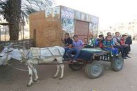 أهالي سوهاج