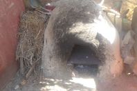 دعوات لتبوير الأراضى