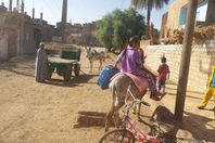 البنزين يشعل أسعار الحمار