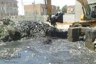 أعمال التطهير