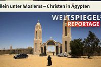 صورة الخبر الأصلي