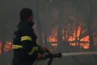 حريق الغابات