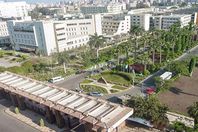 جامعة المنصورة . أرشيفية