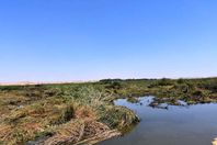 محطة صرف بلانة