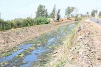 ري 400 ألف فدان بمياه الصرف بكفر الشيخ
