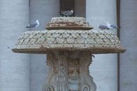 نافورة الفاتيكان