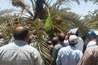 جانب من التدريب