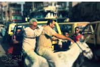 صورة الحمار