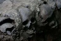 الجماجم البشرية