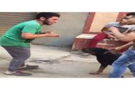 سيد سيكا يروع مواطنًا بكلبه