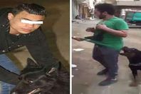 صورة من الفيديو
