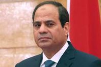 الرئيس السيسي


