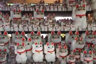 معبد القطط المحظوظة