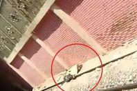 جثة شاب انتحر أمام قطار مترو بمحطة المرج