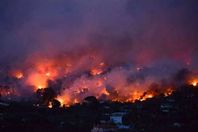 حرائق الغابات